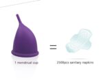 ANEERCARE Hypoallergenic Certified Reusable Menstrual Cup for Women | Large Size | Small Size | Pad - Image 5