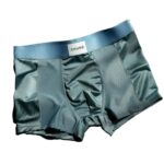 Luxury Mesh Satin Ice Silk Underwear Boxer For Men- Blue - 1Pc - Image 3