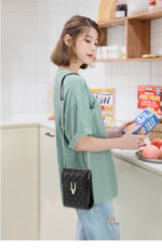 Women's Trendy Fashion Simple Chain Bag Women's Messenger High-quality Shoulder Bag Dating All-match - Image 5