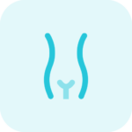 Menstrual Cup